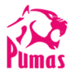 Brand logo 7